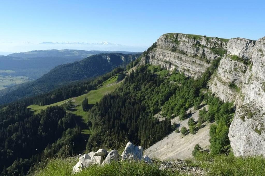 Studio « Le Petit Montagnard » Malbuisson Extérieur photo